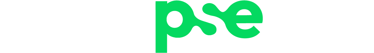 Synapse — consultoria em software